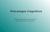 Psicologia Cognitiva Psicologia Experimental III Prof. Maycoln Teodoro.