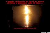 A grande catástrofe no Golfo do México continua a preocupar após 30 dias... Progressão manual 21 de maio de 2010 15h21 atualizado às 15h54.