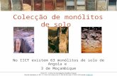 Colecção de monólitos de solo No IICT existem 63 monólitos de solo de Angola e 3 de Moçambique.