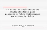 Salvador, 15 a 17 de outubro de 2014 1º Ciclo de capacitação de multiplicadores para resposta À Febre Chikungunya no estado da Bahia.
