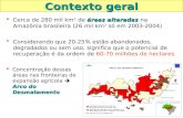 Contexto geral áreasalteradas  Cerca de 280 mil km 2 de áreas alteradas na Amazônia brasileira (26 mil km 2 só em 2003-2004)  Considerando que 20-25%