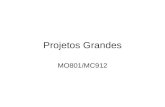 Projetos Grandes MO801/MC912. Roteiro Componentes Configurações Instanciação múltipla Instanciação condicional Atenção: Os exemplos são cumulativos.