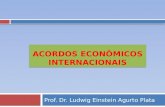 Prof. Dr. Ludwig Einstein Agurto Plata. Responsável pelos atos Internacionais  A Divisão de Atos Internacionais do Ministério das Relações exteriores.