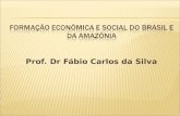 Prof. Dr Fábio Carlos da Silva. Unidade IV A Economia Colonial no Brasil e na Amazônia Tema 1 A economia escravista de agricultura tropical (séc.XVI e.