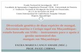 FAURA MARIZA CANGY AMADE (MSC.) PROF. PAXIE CHIRWA Fundo Nacional de Investigação - MCT Faculdade de Agronomia e Engenharia Florestal- UEM, Universidade.