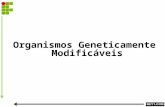 Organismos Geneticamente Modificáveis. Legislação: CF/88: art. 225, § 1º, incisos II, IV e V. Lei nº 11.105/2005 Resolução CONAMA nº 305, de 12 junho.