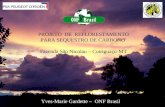 PROJETO DE REFLORESTAMENTO PARA SEQUESTRO DE CARBONO Fazenda São Nicolau – Cotriguaçu-MT Yves-Marie Gardette – ONF Brasil.