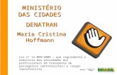 MINISTÉRIO DAS CIDADES DENATRAN Maria Cristina Hoffmann Lei nº 12.009/2009 – que regulamenta o exercício das atividades dos profissionais em transporte.