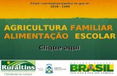AGRICULTURA FAMILIAR ALIMENTAÇÃO ESCOLAR Email: comitepnae@seduc.to.gov.br comitepnae@seduc.to.gov.br 3218 - 1349 Clique aqui.