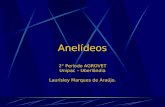 Anelídeos 2° Período AGROVET Unipac – Uberlândia Laurisley Marques de Araújo.