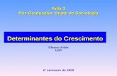 Aula 3 Pós Graduação: Depto de Sociologia Determinantes do Crescimento Glauco Arbix USP 2º semestre de 2009.