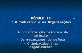 MÓDULO II “ O Indivíduo e as Organizações”  A constituição psíquica do sujeito  Os mecanismos de defesa  O indivíduo e as organizações.