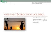 GESTOS TÉCNICOS DO VOLEIBOL Trabalho elaborado por: -Diana Oliveira nº2 11ºD -Marina Gomes nº9 11ºD 2014/2015 PAFD- Prática de Atividades Física e Desportivas.