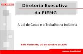 Instituto Euvaldo Lodi Belo Horizonte, 30 de outubro de 2007 Diretoria Executiva da FIEMG A Lei de Cotas e o Trabalho na Indústria.