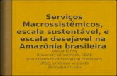 Serviços Macrossistêmicos, escala sustentável, e escala desejável na Amazônia brasileira Joshua Farley University of Vermont, CDAE Gund Institute of Ecological.