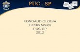 FONOAUDIOLOGIA Cecilia Moura PUC-SP 2012. Formada e agora? Prestar concurso para ser fonoaudióloga da DERDIC não teve preço. Ser convidada por uma professora.