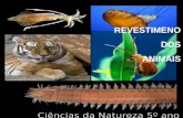 Ciências da Natureza 5º ano REVESTIMENO DOS ANIMAIS.