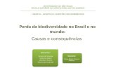 Perda da biodiversidade no Brasil e no mundo: Causas e consequências UNIVERSIDADE DE SÃO PAULO ESCOLA SUPERIOR DE AGRICULTURA LUIZ DE QUEIROZ ______________________________________________________________________________.