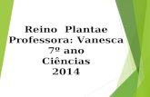 Reino Plantae Professora: Vanesca 7º ano Ciências 2014.