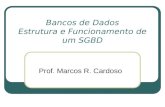 Bancos de Dados Estrutura e Funcionamento de um SGBD Prof. Marcos R. Cardoso.