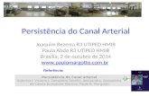 Persistência do Canal Arterial Joaquim Bezerra R3 UTIPED HMIB Paula Abdo R3 UTIPED HMIB Brasília, 2 de outubro de 2014  Persistência.
