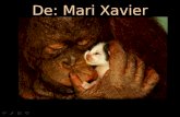 De: Mari Xavier Se você gosta de animais, vai adorar ver estas imagens.