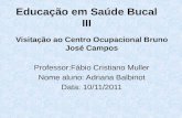 Educação em Saúde Bucal III Visitação ao Centro Ocupacional Bruno José Campos Professor:Fábio Cristiano Muller Nome aluno: Adriana Balbinot Data: 10/11/2011.
