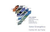 Setor Energético Carlos W. de Faria. Sistema Elétrico Brasileiro.