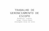 TRABALHO DE GERENCIAMENTO DE ESCOPO Professor: Franchi Grupo: Flavia Nunes Josiangela Cesar da Silva.