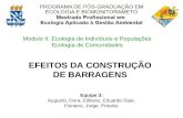 Modulo II: Ecologia de Indivíduos e Populações Ecologia de Comunidades Equipe 3: Augusto, Dora, Edilene, Eduardo Saar, Floriano, Jorge, Priscila. EFEITOS.