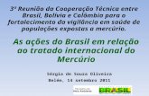 Sérgia de Souza Oliveira Belém, 14 setembro 2011 As ações do Brasil em relação ao tratado internacional do Mercúrio 3ª Reunião da Cooperação Técnica entre.