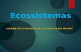 Ecossistemas DIFERENTES SISTEMAS ECOLÓGICOS DO MUNDO.