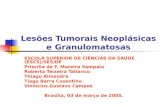 Lesões Tumorais Neoplásicas e Granulomatosas ESCOLA SUPERIOR DE CIÊNCIAS DA SAUDE (ESCS)/SES/DF Priscilla de F. Moreira Sampaio Roberta Teixeira Tallarico.