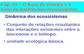 Cap. 04 – O fluxo de energia e o ciclo da matéria nos ecossistemas. Conjunto de relações resultantes das interações existentes entre a biocenose e o biótopo.