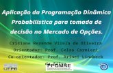 Aplicação da Programação Dinâmica Probabilística para tomada de decisão no Mercado de Opções. Crisiane Rezende Vilela de Oliveira Orientador: Prof. Celso.