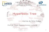 1 Hyperbolic Tree Karina da Silva Salles Universidade Católica de Pelotas Centro Politécnico Ciência da Computação Visualização de Informações Prof. Dr.