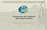Diretório de Grupos de Pesquisa no Brasil Base Nacional de Grupos de Pesquisa Registrada em Fluxo Contínuo Processos de Captura das Informações.