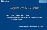 AÇÕES CT-Petro / CNPq Flavio de Queiroz Costa COENE – Coordenação do Programa de Pesquisa em Energia - CNPq Florianópolis, 3 de agosto de 2006.