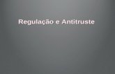 Regulação e Antitruste Exercício do poder regulamentar:Exercício do poder regulamentar: –Fundamento constitucional –Relevância da natureza da atividade.