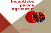 Incentivos para a Agricultura Lurdes Gonçalves Contamais – Projectos de Investimento Barcelos – 22/11/2012.