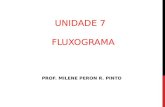 UNIDADE 7 FLUXOGRAMA PROF. MILENE PERON R. PINTO.