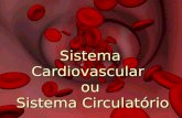 Sistema Cardiovascular ou Sistema Circulatório.  O aparelho circulatório é um sistema contínuo, fechado, com setores de alta pressão e de baixa pressão.