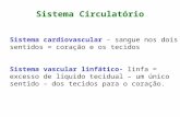 Sistema Circulatório Sistema cardiovascular – sangue nos dois sentidos = coração e os tecidos Sistema vascular linfático- linfa = excesso de líquido tecidual