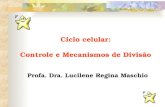 Ciclo celular: Controle e Mecanismos de Divisão Profa. Dra. Lucilene Regina Maschio.