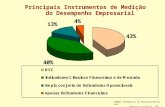 Principais Instrumentos de Medição do Desempenho Empresarial Fonte Fonte: Tendências do Desenvolvimento das Empresas no Brasil, FDC, 2002.