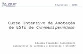 Curso Intensivo de Anotação de ESTs de Crinipellis perniciosa Eduardo Fernandes Formighieri Laboratório de Genômica e Expressão / UNICAMP Fevereiro - 2006.
