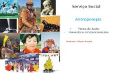 Serviço Social Antropologia Tema da Aula: FORMAÇÃO DA SOCIEDADE BRASILEIRA Professor: Ocimar Aranha.