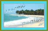 Maceió A capital do Alagoas, é um lugar onde natureza não mediu esforços. São quase 40 km de praias paradisíacas, piscinas naturais, um mar de águas.