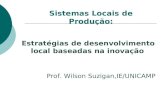 Estratégias de desenvolvimento local baseadas na inovação Prof. Wilson Suzigan,IE/UNICAMP Sistemas Locais de Produção: