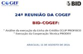 24ª REUNIÃO DA COGEF BID-COGEF: 24ª REUNIÃO DA COGEF BID-COGEF: * Análise da execução da Linha de Crédito CCLIP PROFISCO * Execução da Cooperação Técnica.